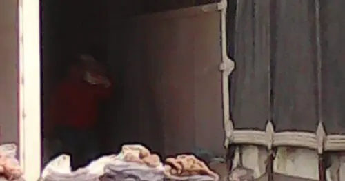 DEPOSITO DE PAPA CARRERA 103A DEPOSITO DE PAPA CARRERA 103A